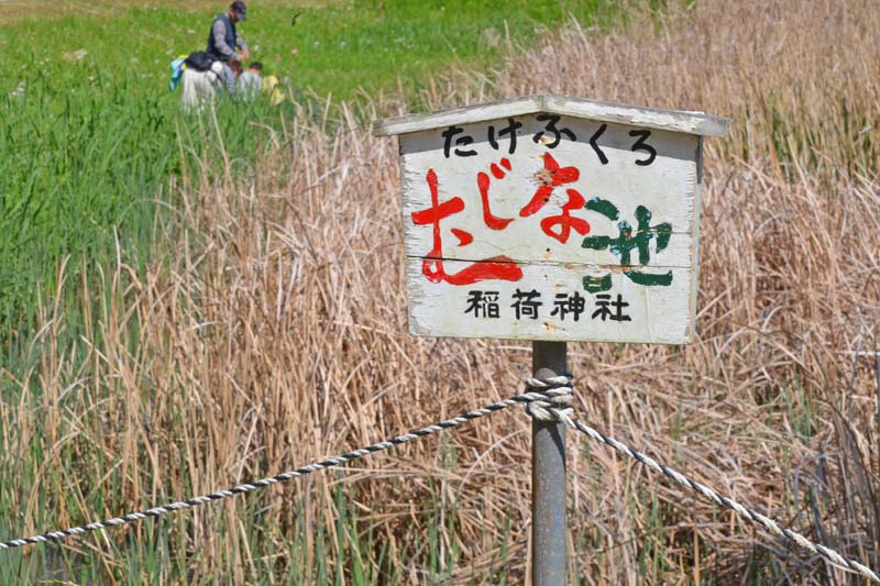 木下万葉公園のむじな池