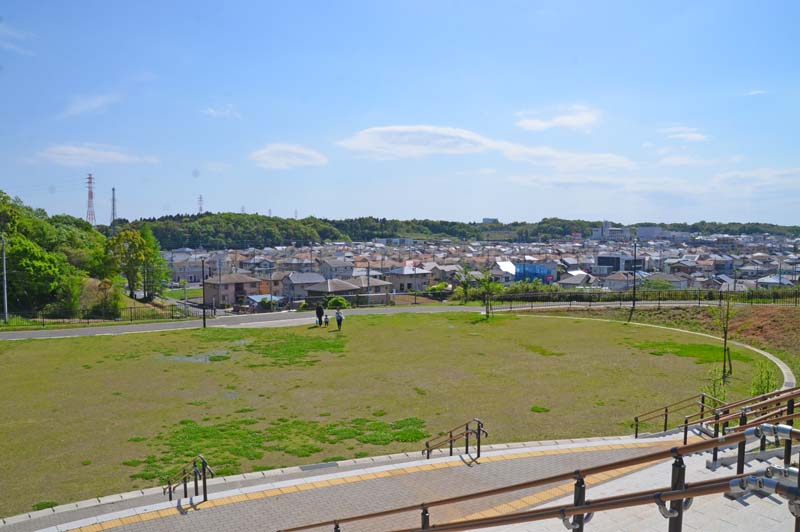 木下交流の杜広場の芝生