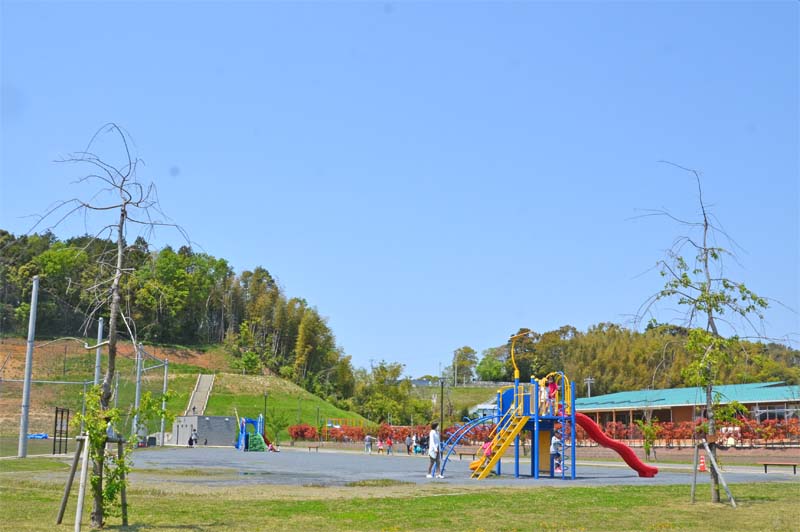木下交流の杜公園の遊具