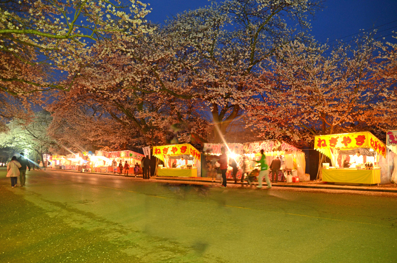 小林牧場の夜桜の夜景
