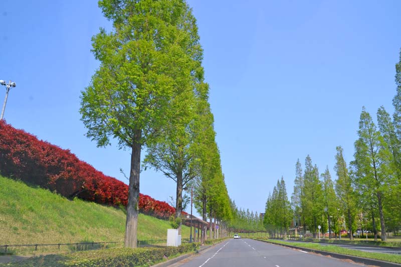 印西牧の原の町並み
