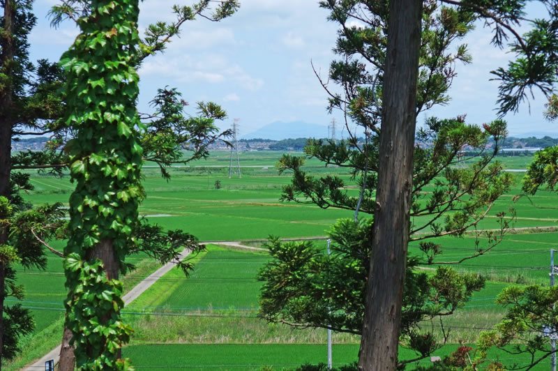 松山下公園から筑波山