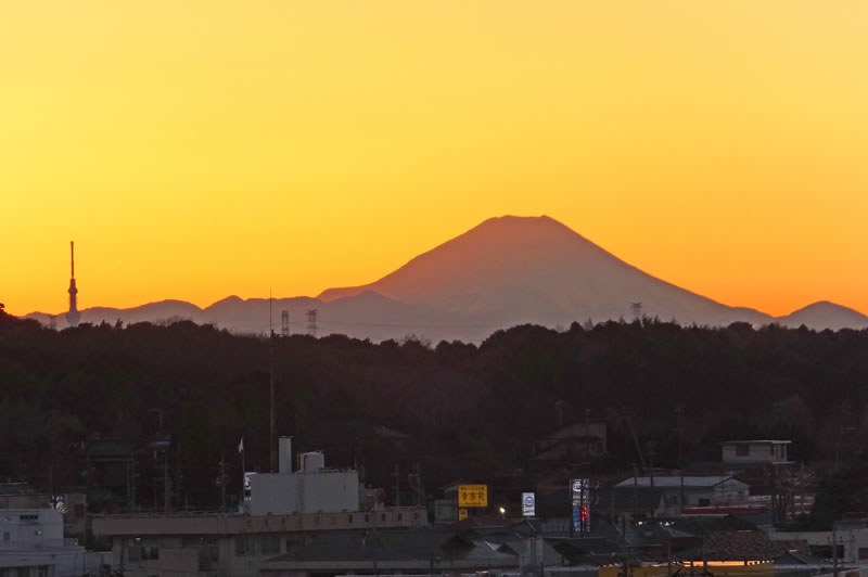 木下万葉公園から富士山とスカイツリー