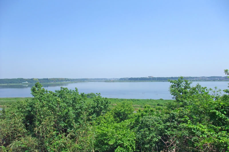 印旛沼公園から印旛沼を見下ろす