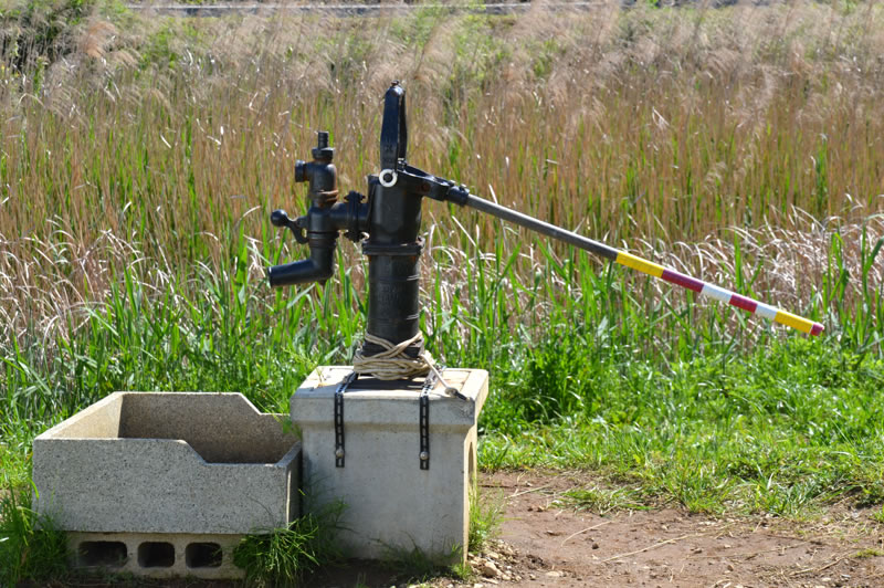 木下のむじな池と井戸