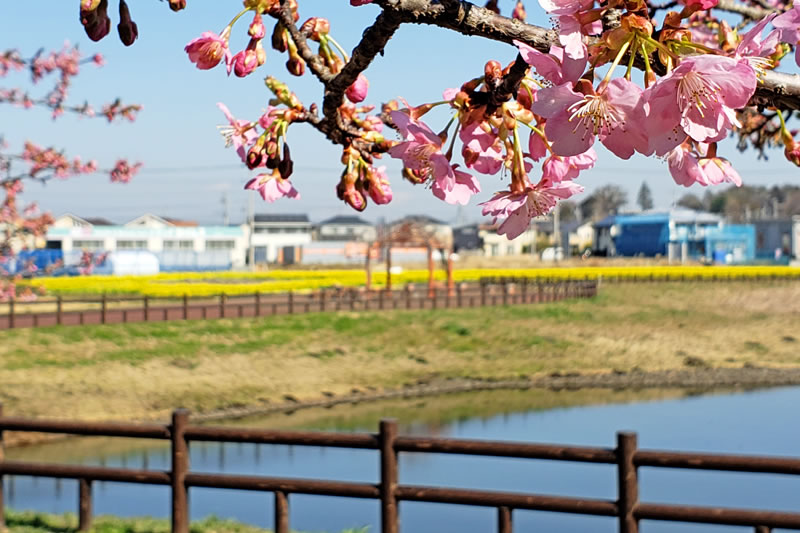 ひょうたん島池