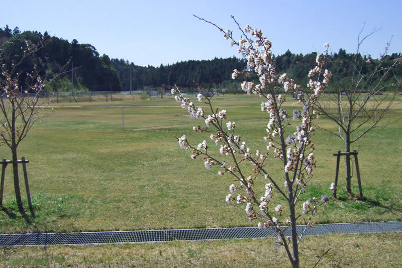 木下小林間の新駅計画エリア