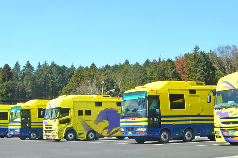 大井競馬の競走馬専用バス