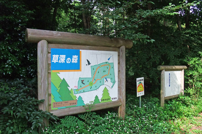 草深の森の案内板