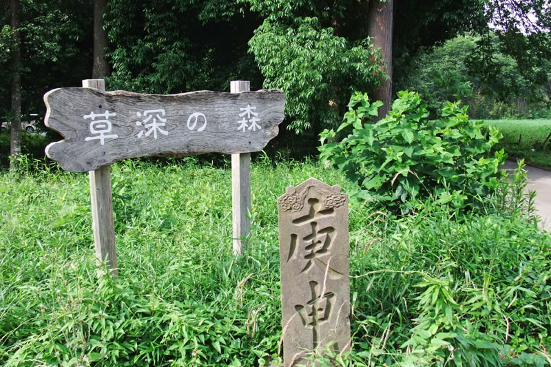草深の森入り口