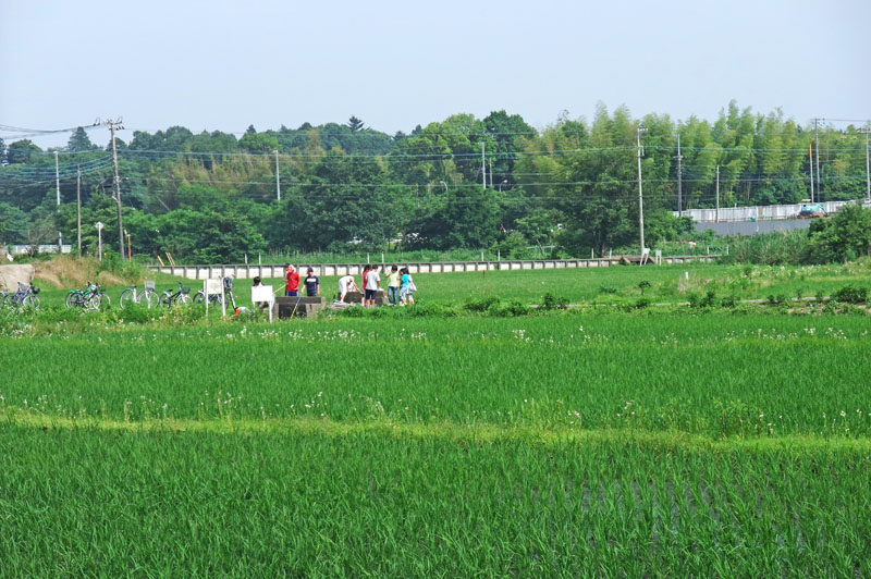 草深の森の付近の田園風景