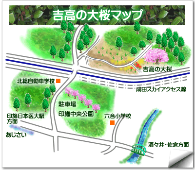 吉高の大桜の案内地図