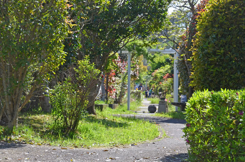 印西市小林地区の住宅