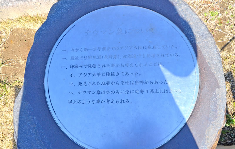 双子公園のナウマン象の説明