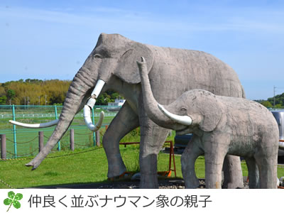 双子公園のナウマン象の親子