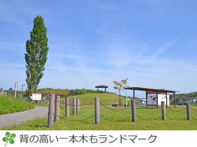 一本気もランドマークの双子公園
