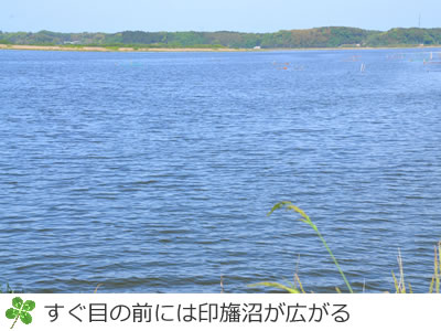 すぐ隣は印旛沼が広がる