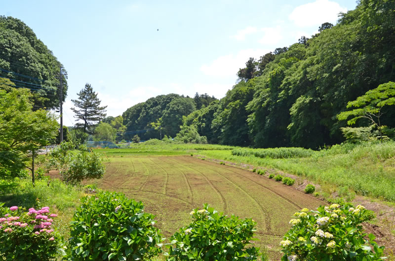 結縁寺近くの里山の風景