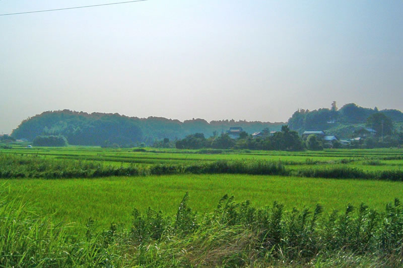にほんの里100選にも選ばれた結縁寺近くの里山の風景
