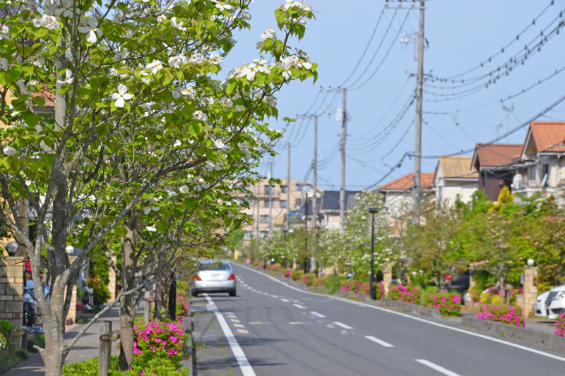 木下南の住宅地