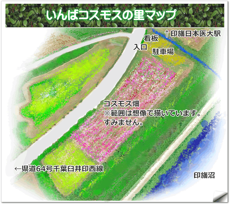 コスモスの里の地図ガイド