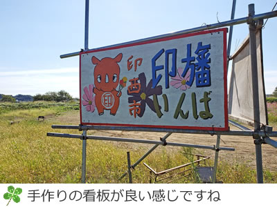 印旛のコスモスの里