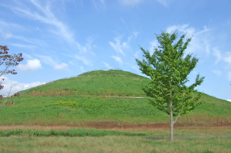 印西牧の原公園のひょうたん山