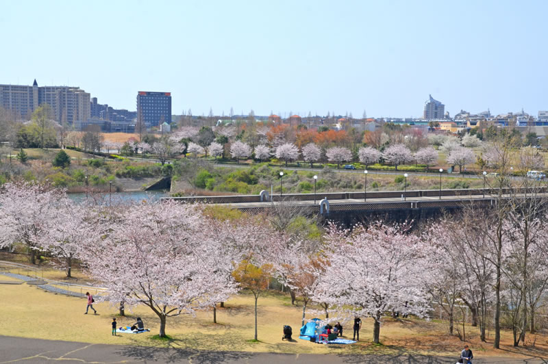 印西牧の原の街並み