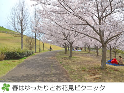 牧の原公園ゆったりお花見ピクニック