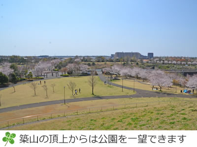 牧の原公園ひょうたん山頂上