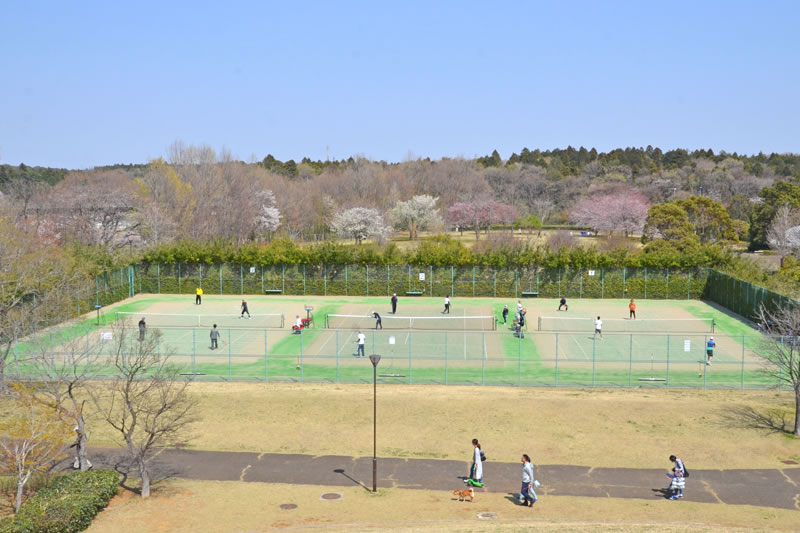 牧の原公園のテニスコート