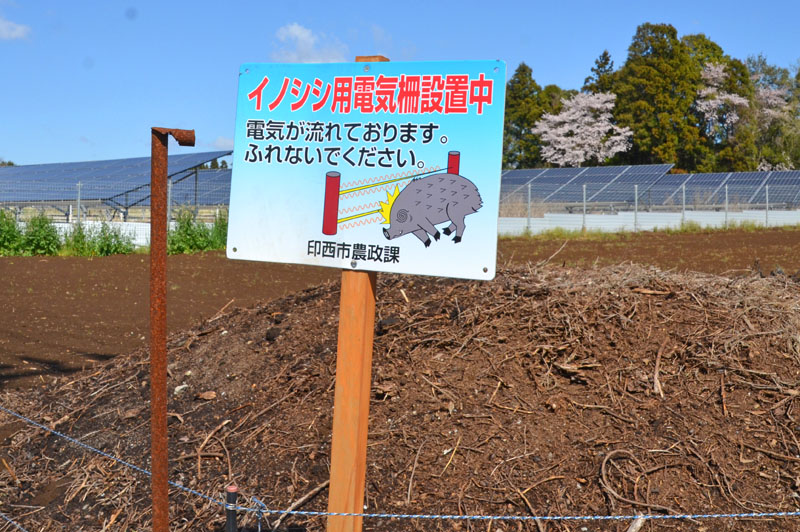 イノシシ除け電気柵