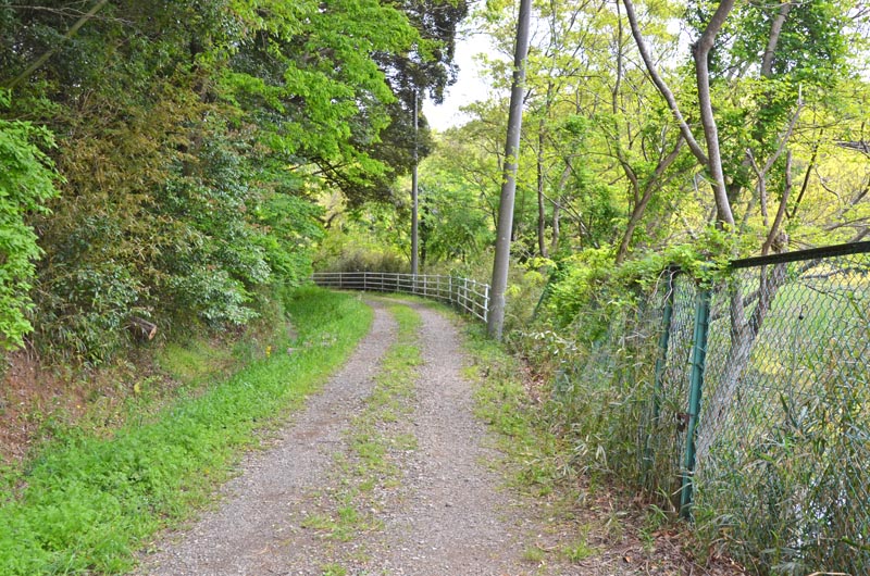 ふれあい小径へのルート