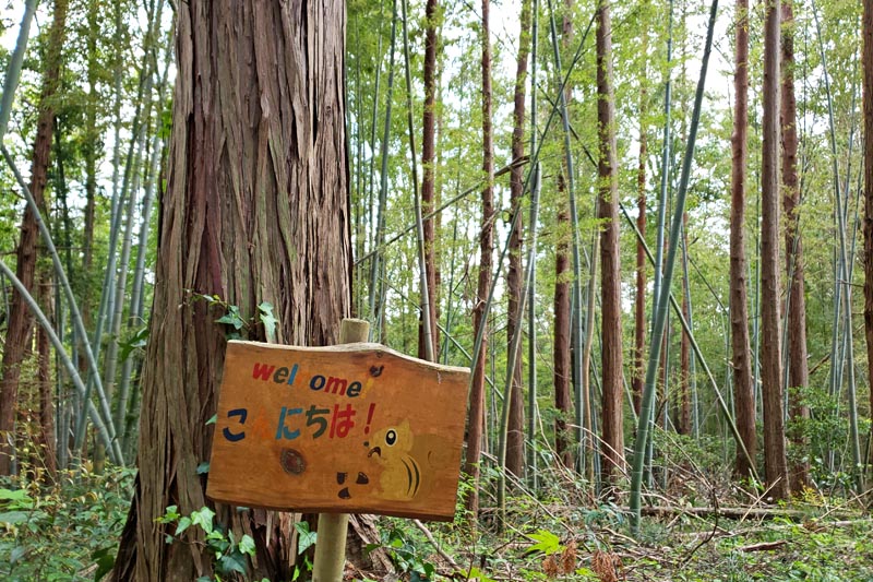 印西ふれあいの小径