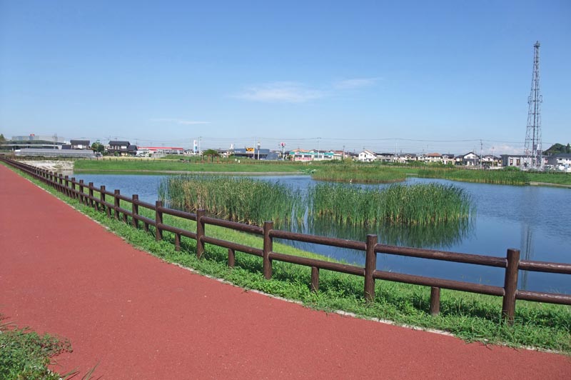 ひょうたん島池の散策路
