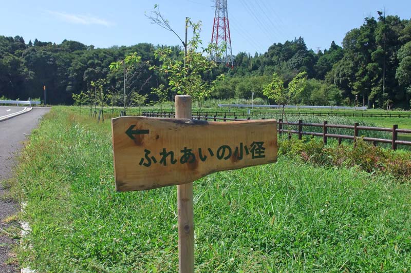 ふれあい小径