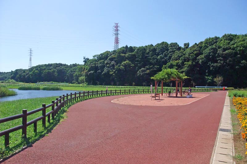 ひょうたん島池