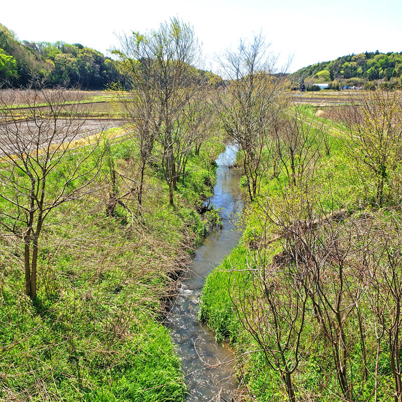 印西市の里山の風景