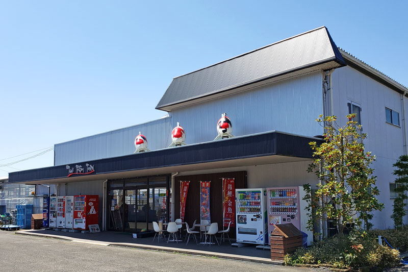 谷養魚場