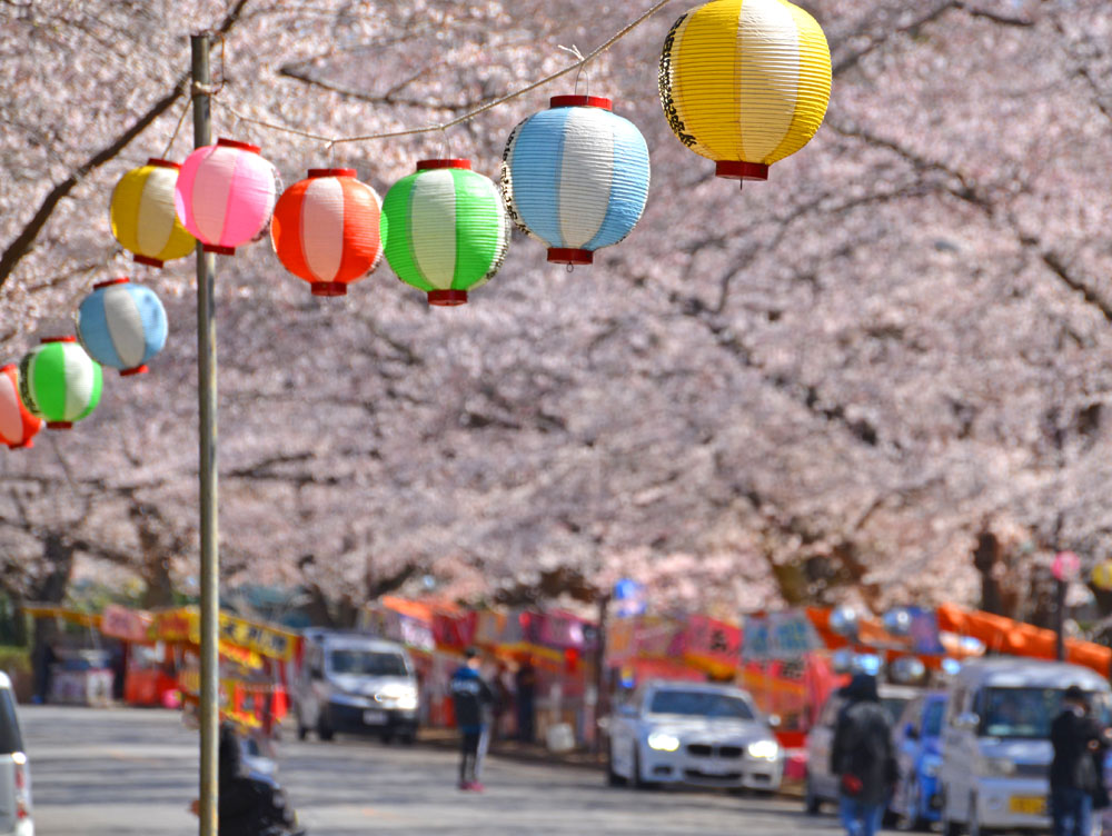 印西市の小林牧場