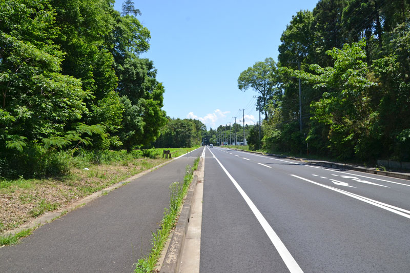 草深の森の前の道路