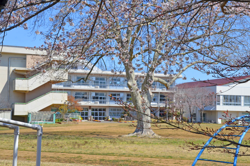印西市立宗像小学校