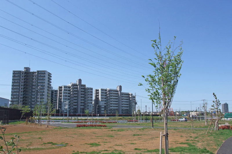 泉公園から原山地区を見る