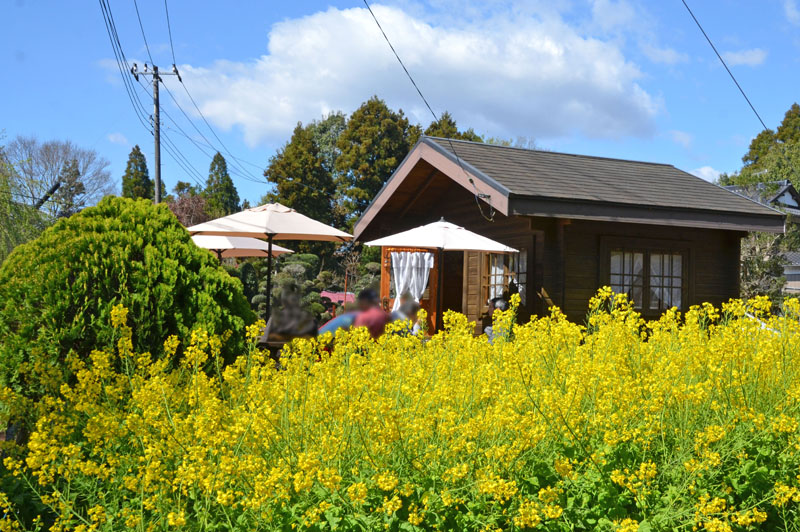 吉高の大桜周辺のお店