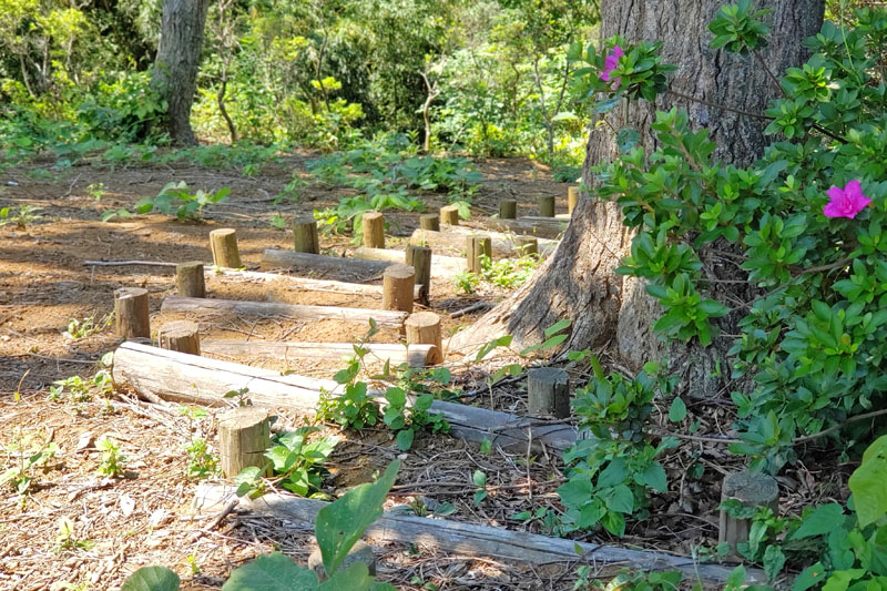 大六天から崖の下へ降りていけます