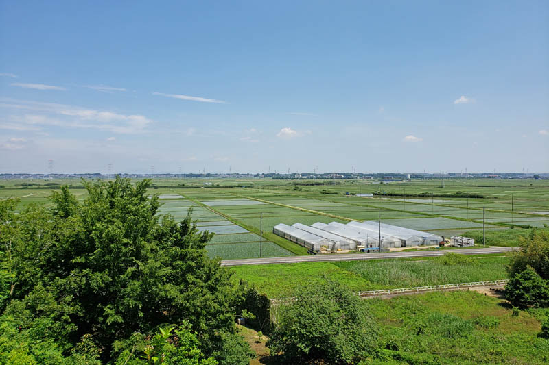 大六天から手賀沼干拓の田園風景