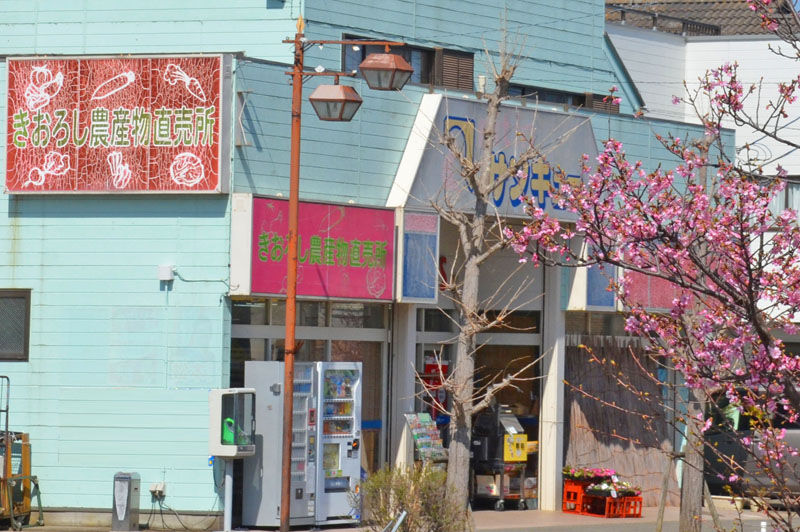 木下ピットインサンキュー直売所