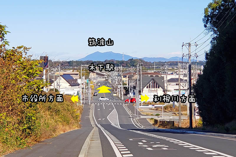 コスモス通り木下駅付近