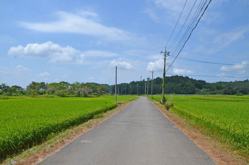 印西市師戸の田園風景