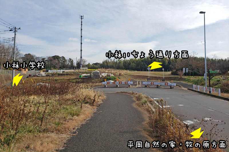 小林小学校付近の道路工事